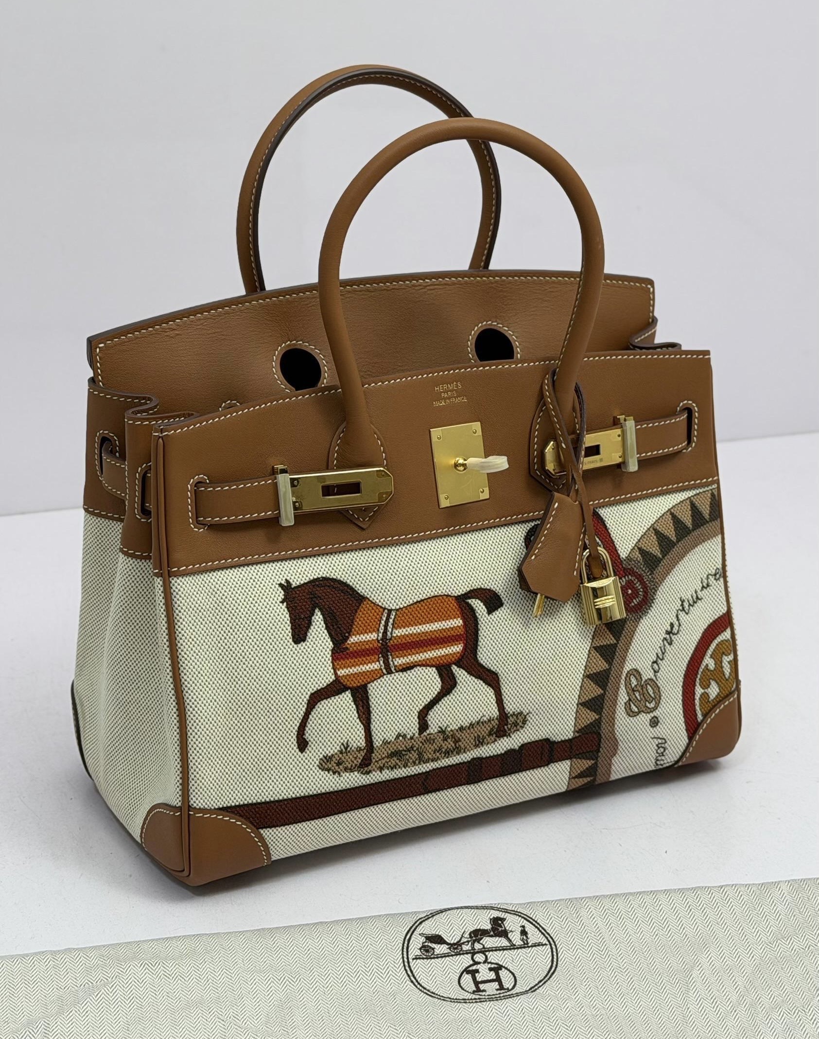 Hermes Birkin 25 Toile H