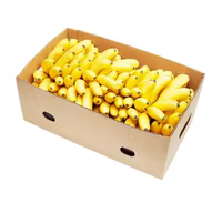 18kg Banana | Carton