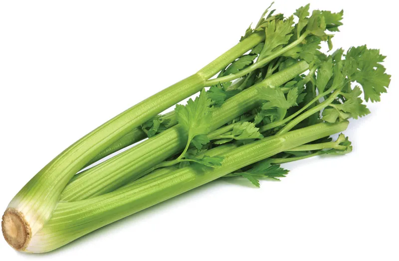 Celery | 100g