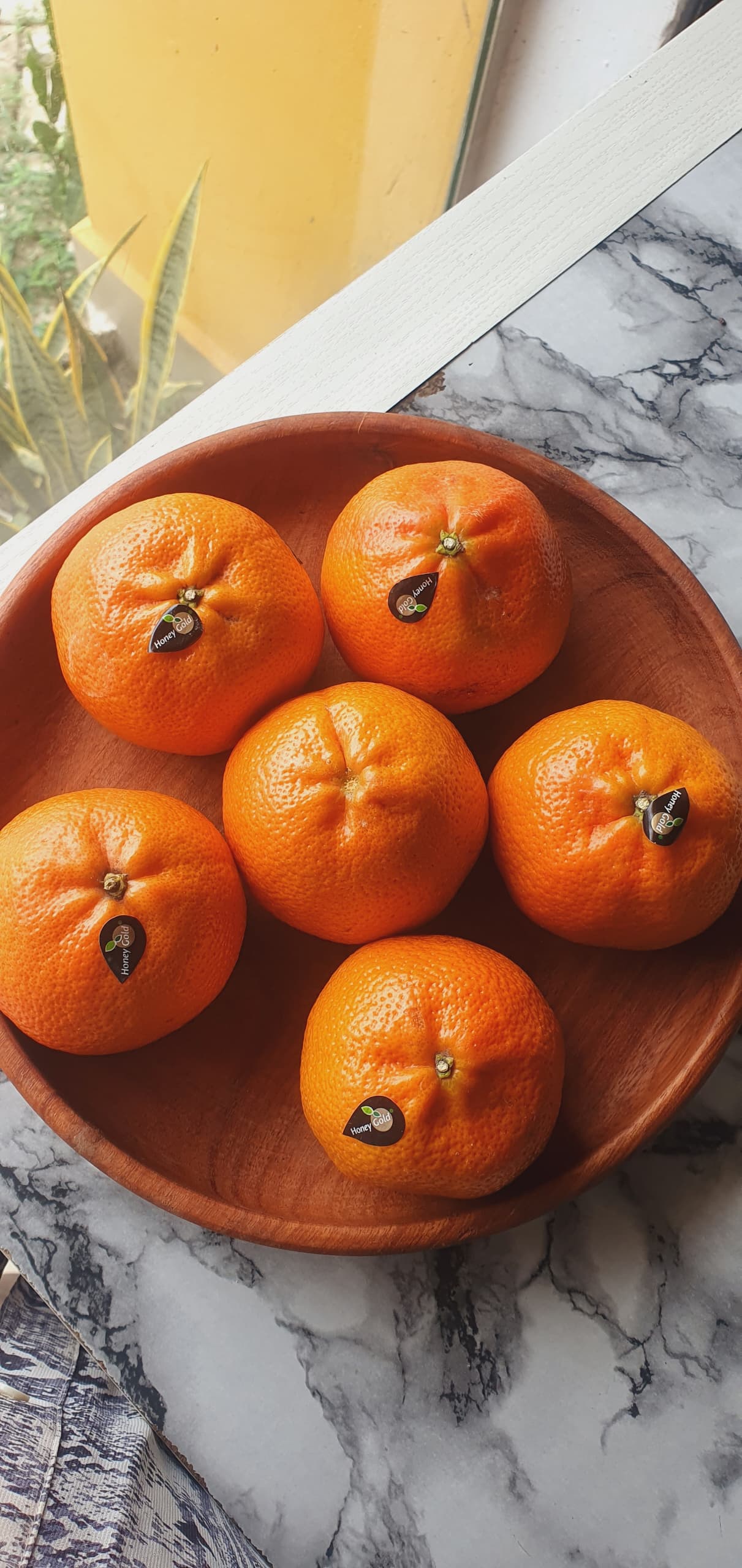 Clementine | 3 Pieces