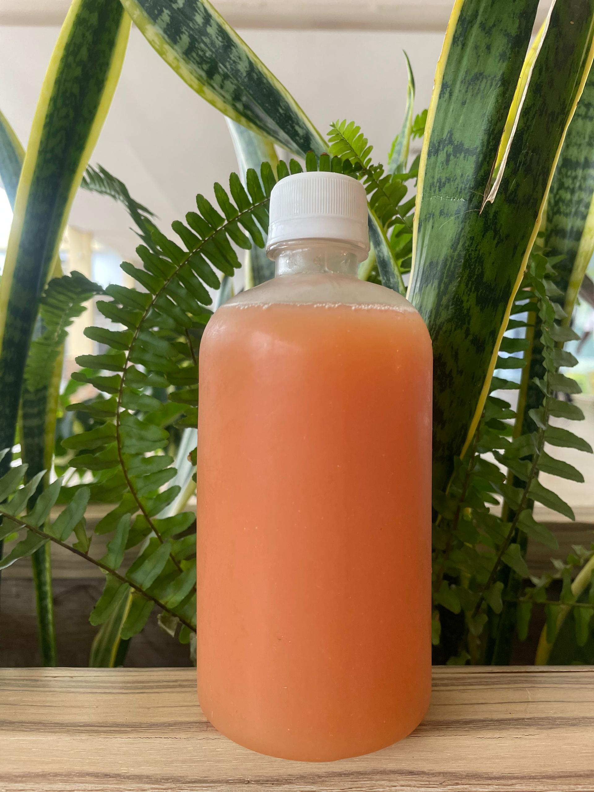 Melon Citrus Splash