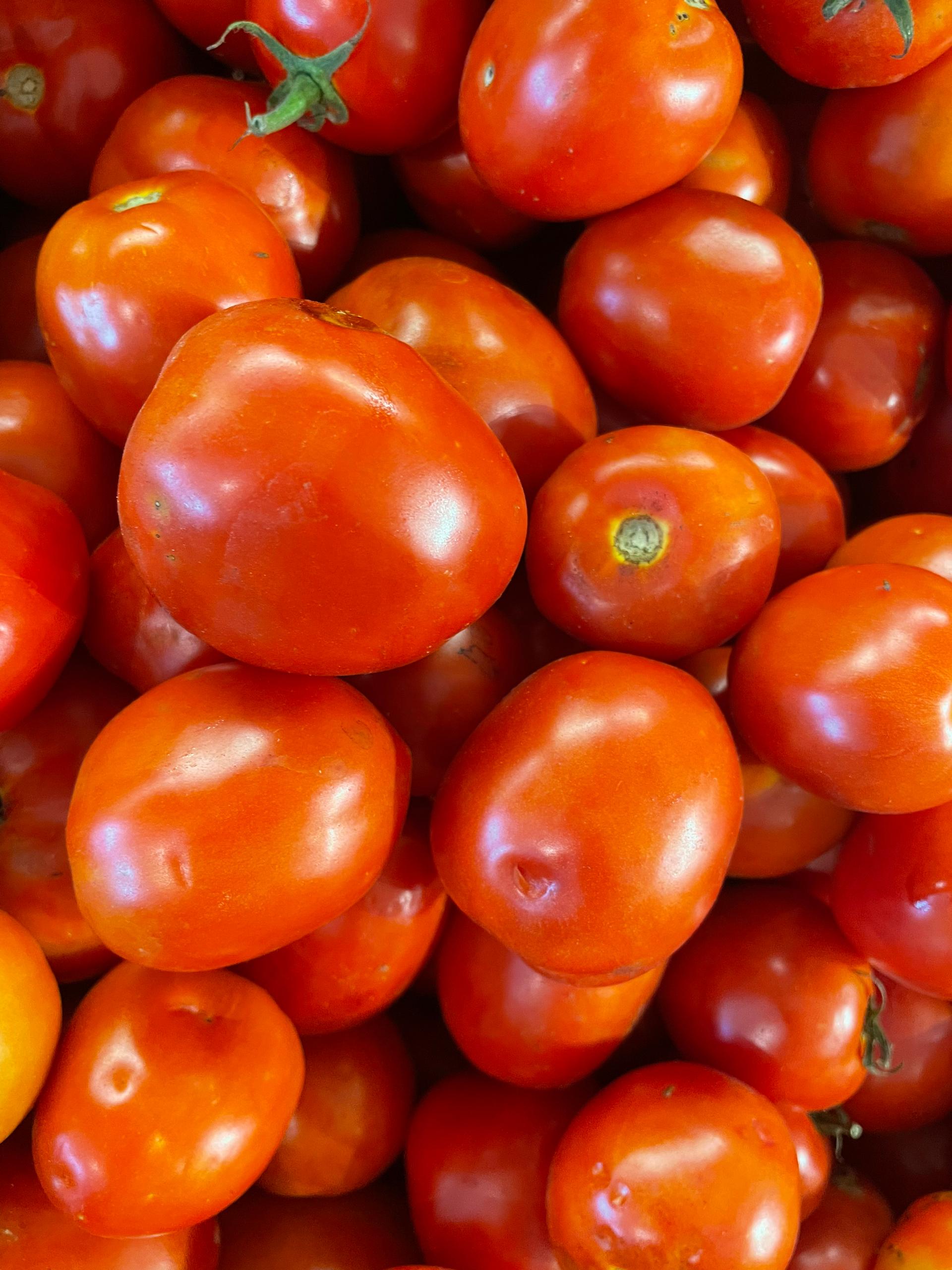 Roma Tomatoes | 1kg