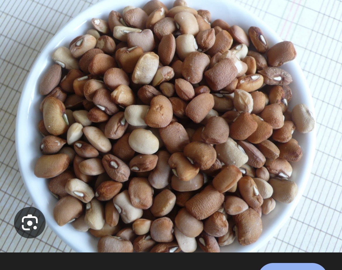 Brown beans | 1.1 kg