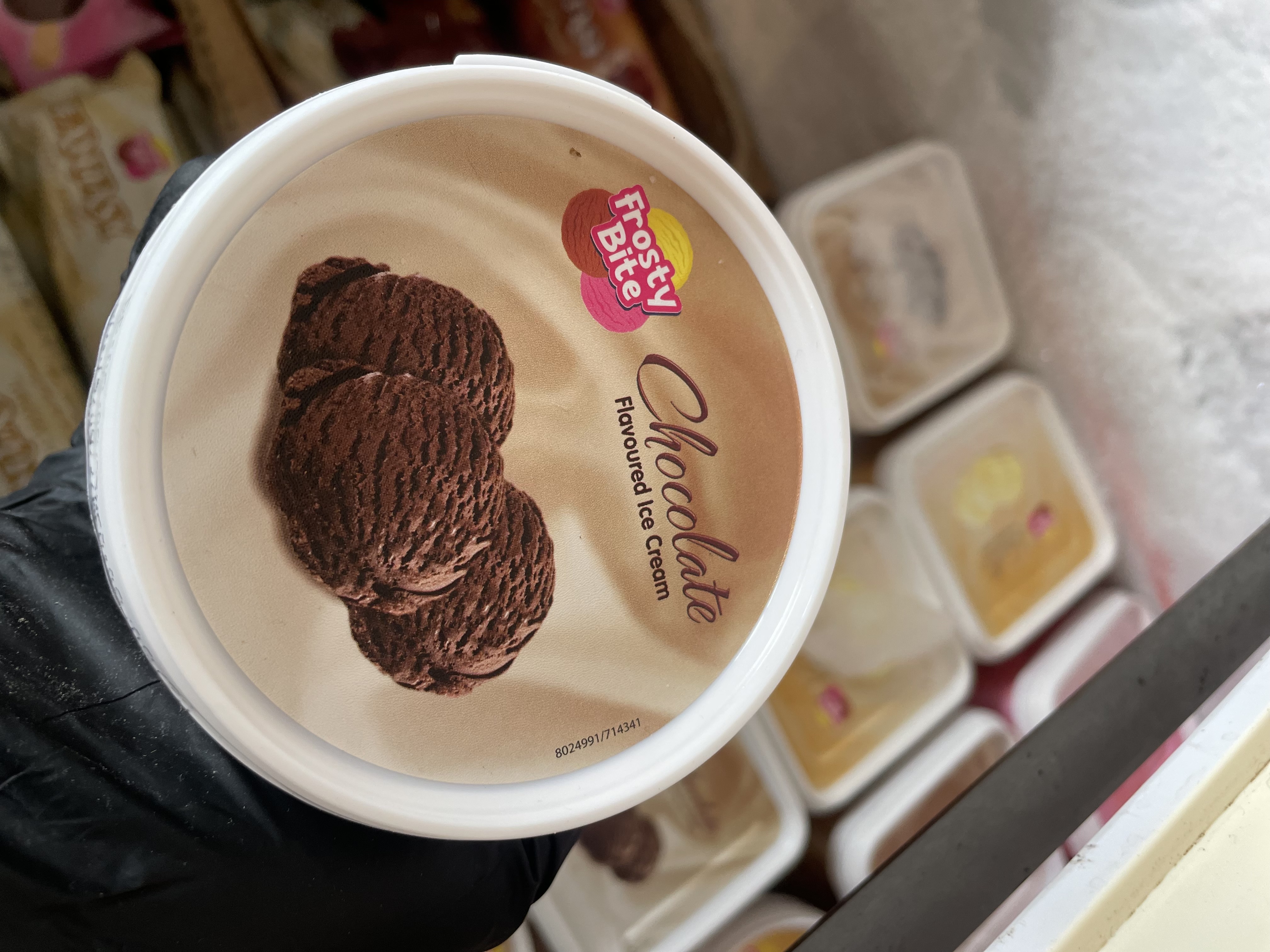 Frosty Bite Chocolate Ice Cream | 250ml
