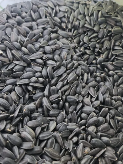 Sunflower Seeds | 350g