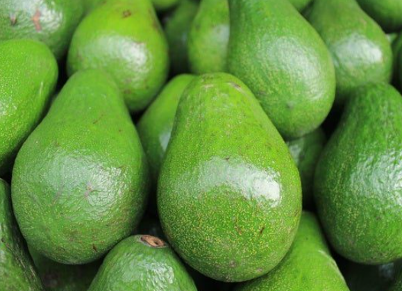Avocado | Pack of 12