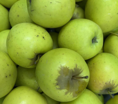 Big Green Apple