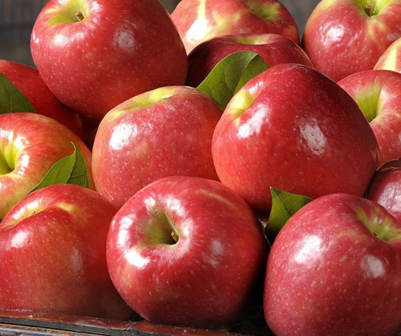 Big Red Apple