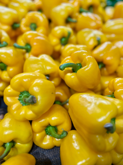 Yellow bell pepper