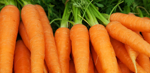Carrot | 1kg