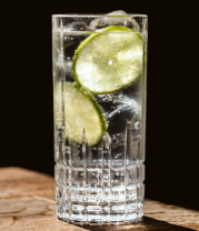 Classic Gin and Tonic
