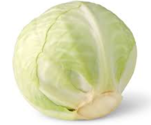 Regular Cabbage