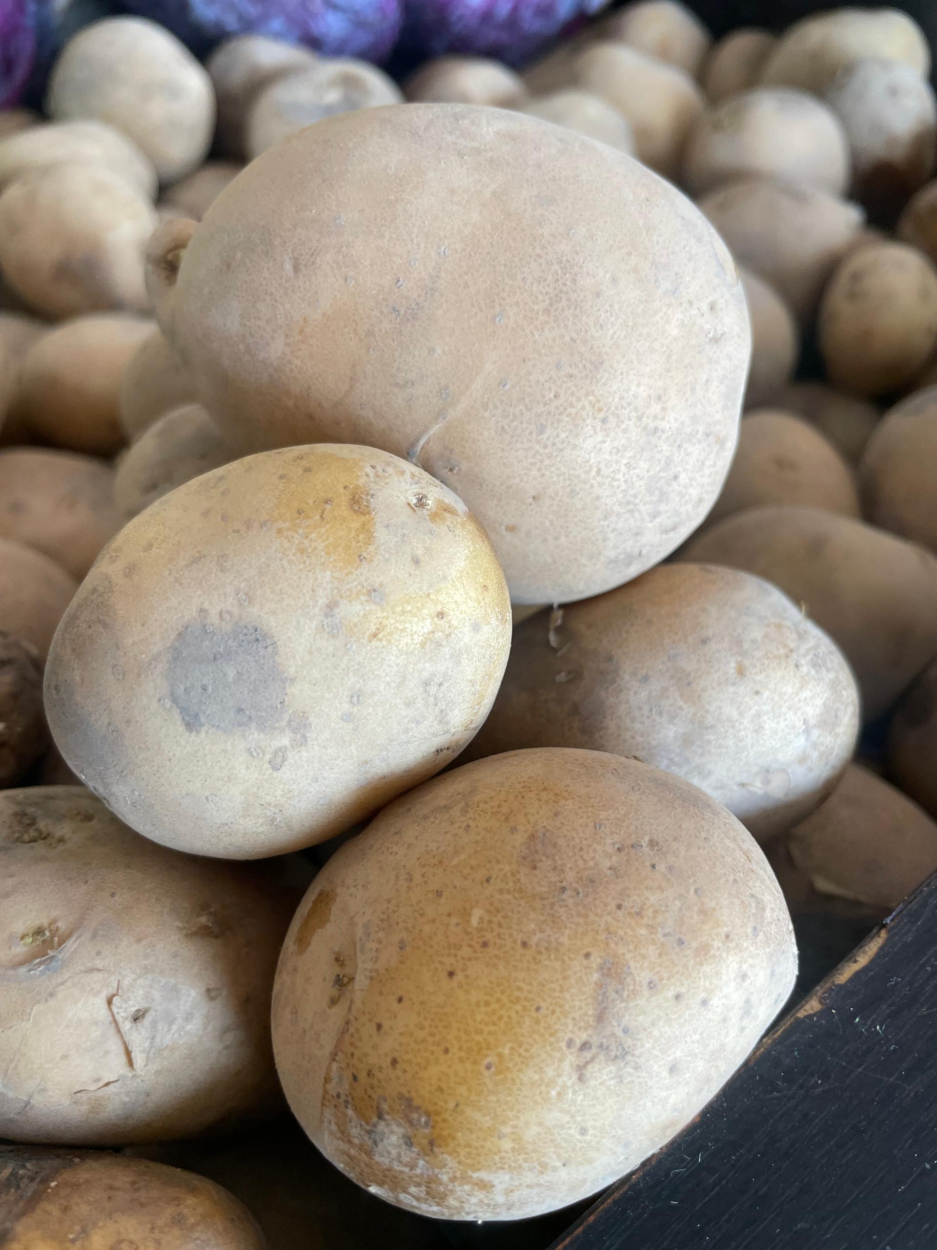 Irish Potato | kg