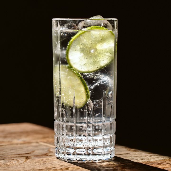 Classic Gin and Tonic