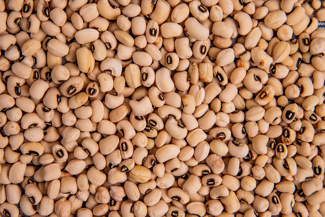 Brown Beans | 1.5kg