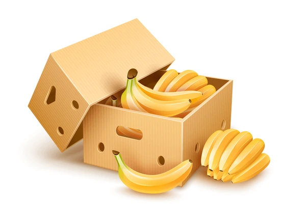 18kg Banana | Carton