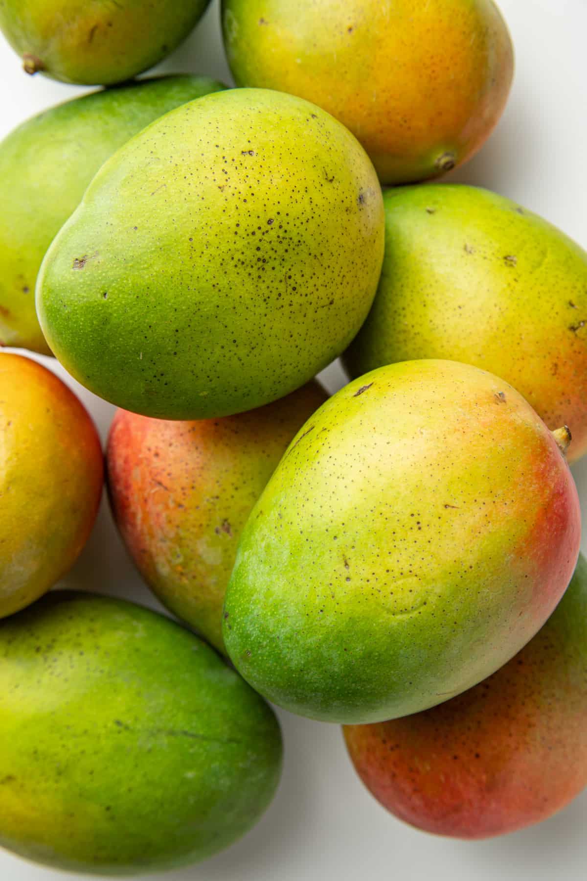 Mangoes | Pack of 6