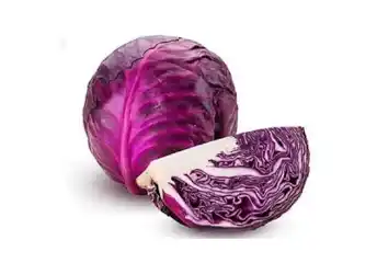 Purple Cabbage