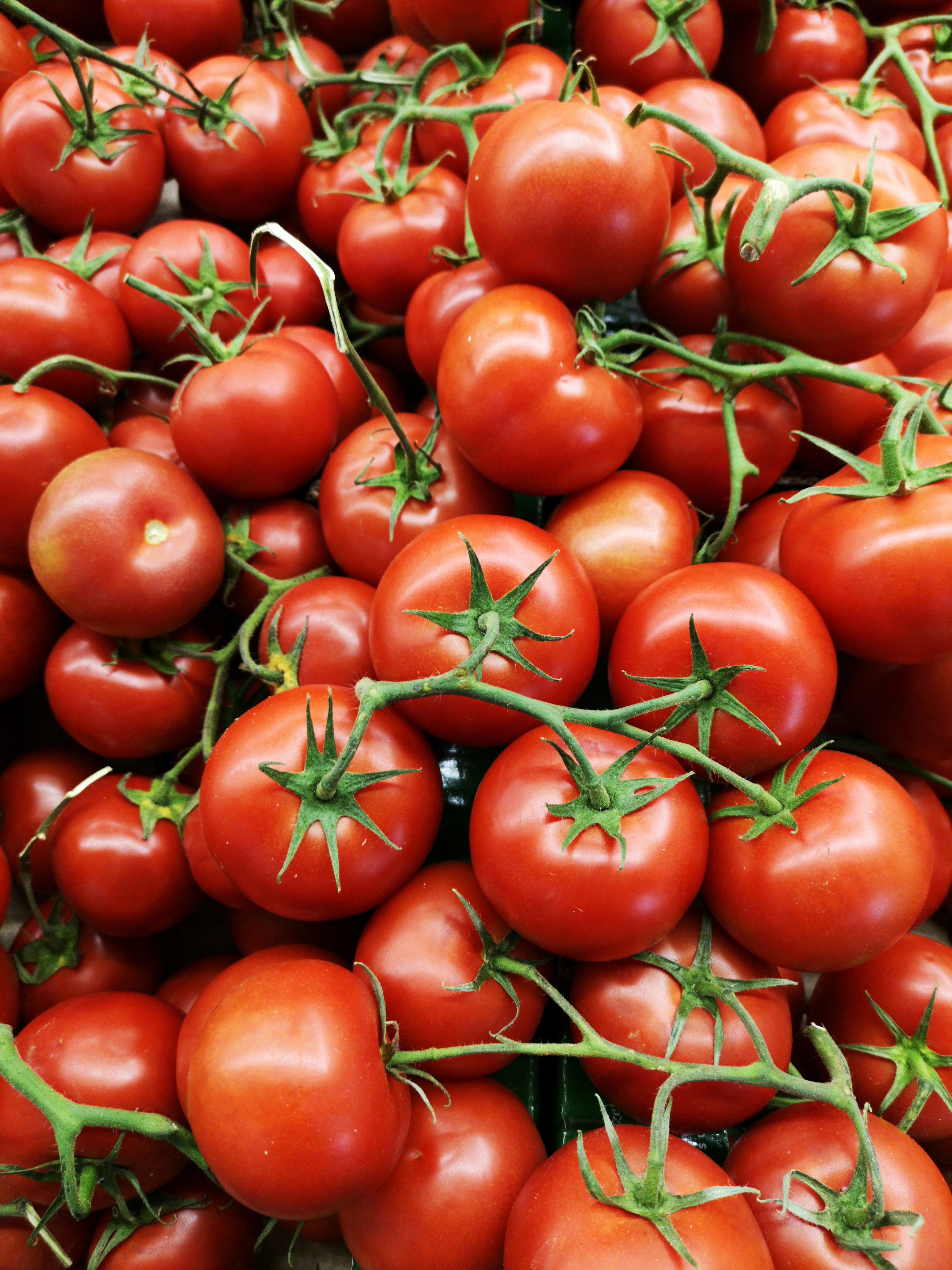 Tomatoes | 1kg