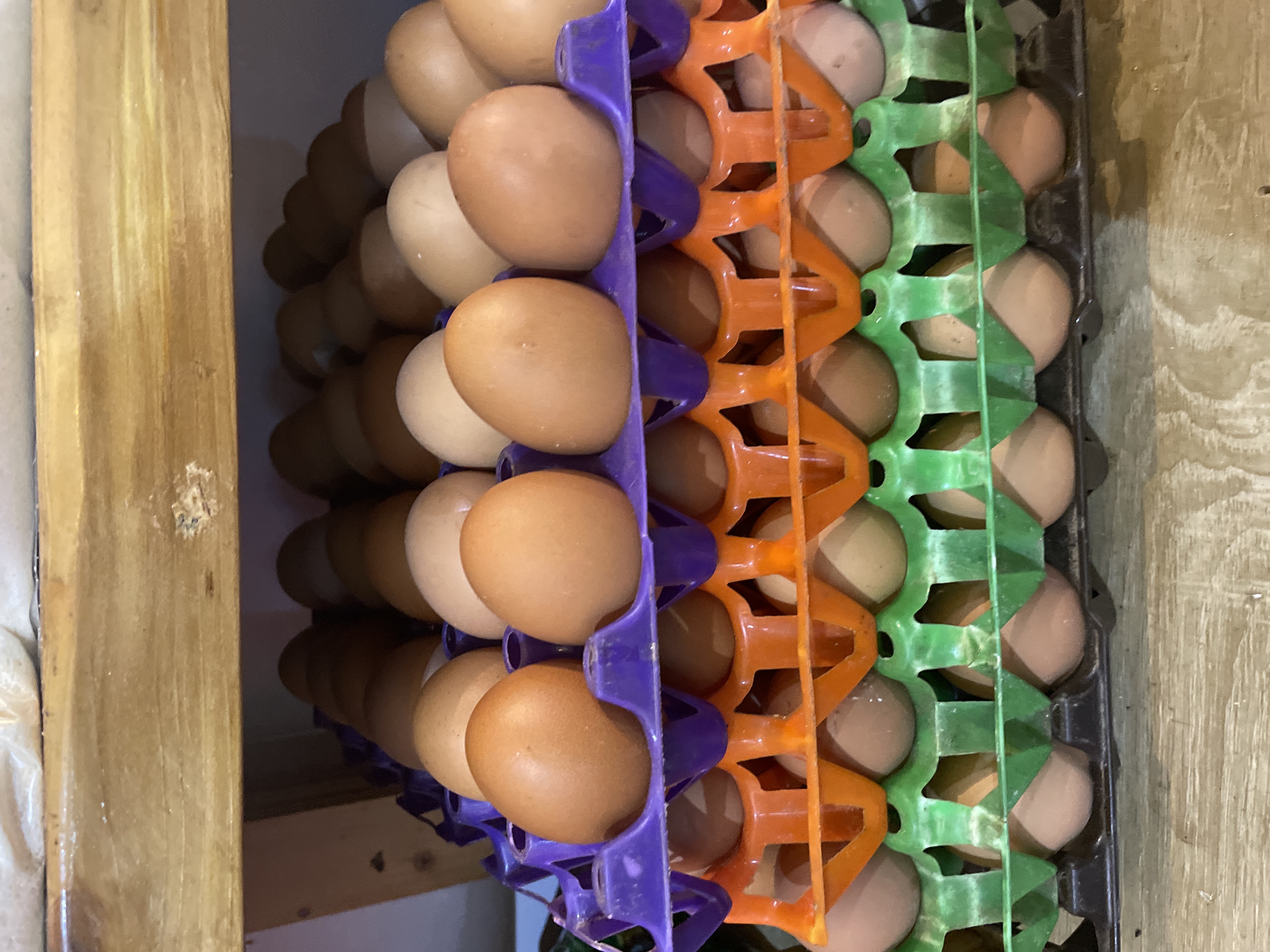 Egg | Crates