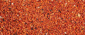 Guinea Corn | 3kg