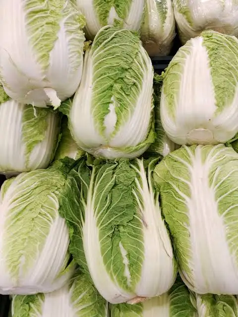 Chinese Cabbage