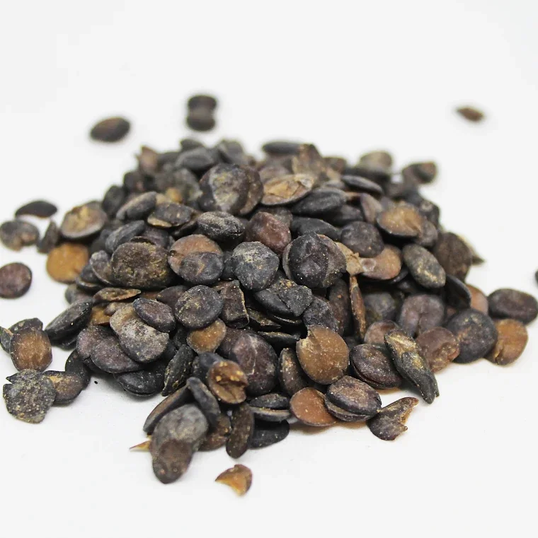 Dried Iru (Locust Beans) | 120g