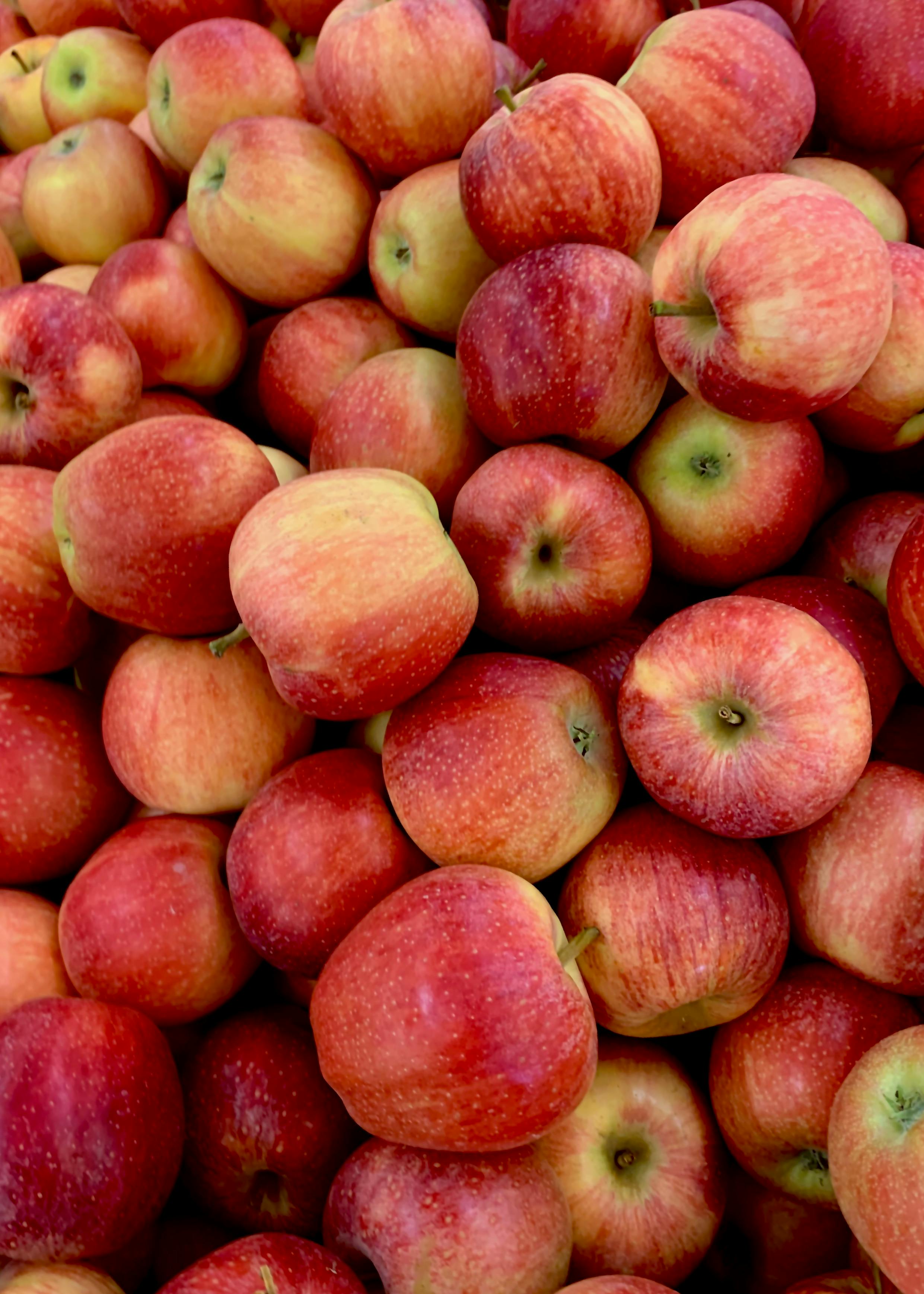 Red Apple | 3 Pieces